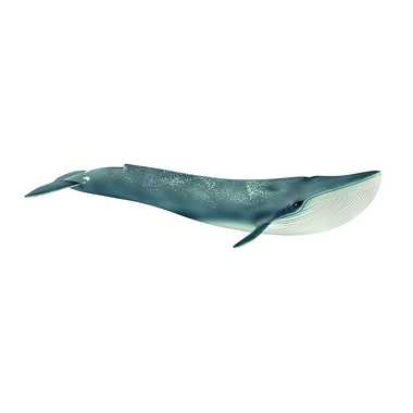 【メーカー取寄】14806 シロナガスクジラ