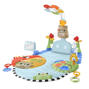 【予約】HYR60  キックでゆらゆら！ごきげんプレイジム