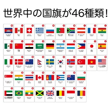 【メーカー取寄】2525 国旗かるた