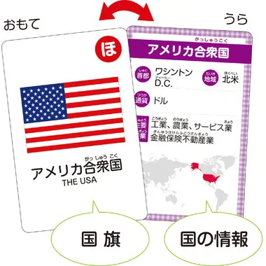 【メーカー取寄】2525 国旗かるた