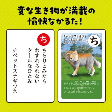 【メーカー取寄】3568 変ないきものかるた
