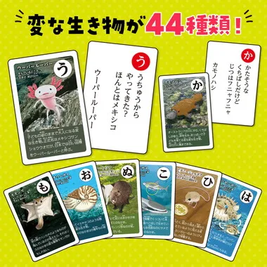 【メーカー取寄】3568 変ないきものかるた
