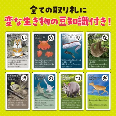 【メーカー取寄】3568 変ないきものかるた