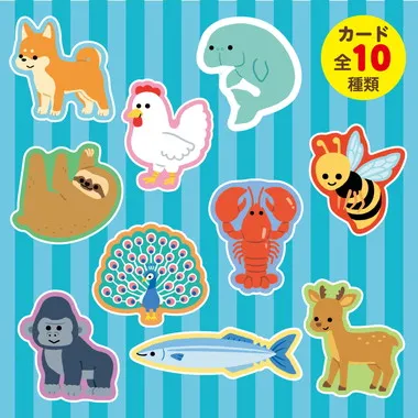 【メーカー取寄】7178 いきものえあわせカードゲーム