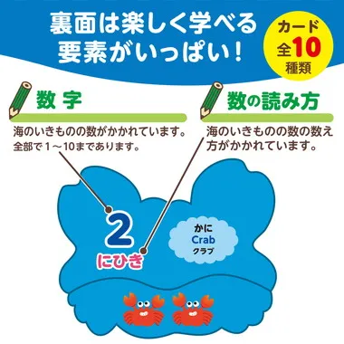 【メーカー取寄】7197 海のいきものえあわせカードゲーム