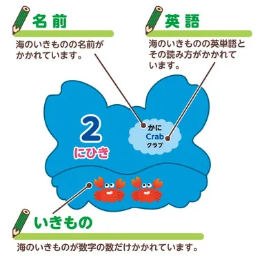 【メーカー取寄】7197 海のいきものえあわせカードゲーム