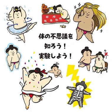 【メーカー取寄】9529 からだの不思議かるた