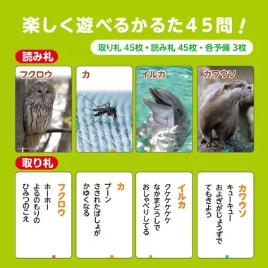 【メーカー取寄】21167 これはなんの音？かるた～いきもの～