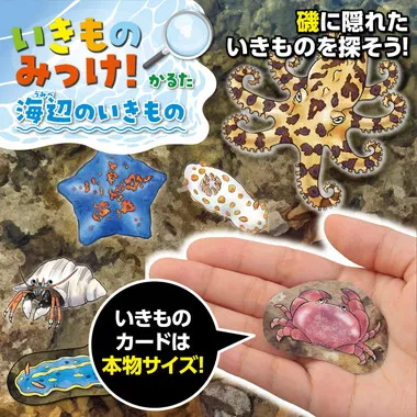 【メーカー取寄】21657 いきものみっけ！かるた　うみべのいきもの