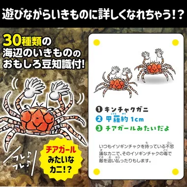 【メーカー取寄】21657 いきものみっけ！かるた　うみべのいきもの