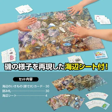 【メーカー取寄】21657 いきものみっけ！かるた　うみべのいきもの