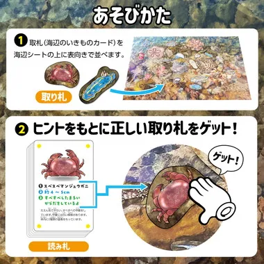 【メーカー取寄】21657 いきものみっけ！かるた　うみべのいきもの