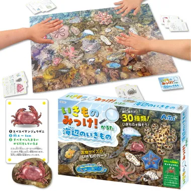 【メーカー取寄】21657 いきものみっけ！かるた　うみべのいきもの