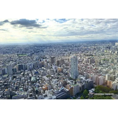【メーカー取寄】300-319 300Pジグソー シリーズ日本の都市1 東京都新宿区「西新宿方面」