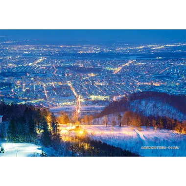 【メーカー取寄】300-320 300Pジグソー シリーズ日本の都市2 北海道札幌市「藻岩山・冬の夜景」