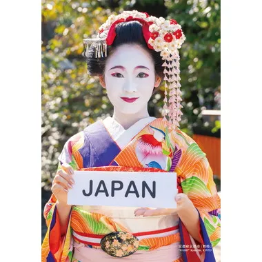 【メーカー取寄】300-327 300Pジグソー シリーズ日本の都市9 京都府京都市「舞妓」