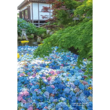 【メーカー取寄】300-333 300Pジグソー 日本の都市15 茨城県桜川市「雨引観音」