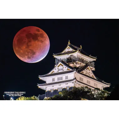 【メーカー取寄】300-418 300Pジグソー 日本の都市62 岐阜県岐阜市「月食と岐阜城」