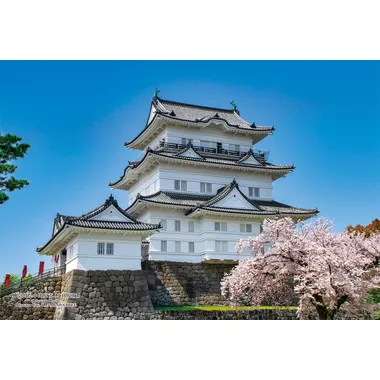 【メーカー取寄】300-430 300Pジグソー 日本の都市74 神奈川県小田原市「小田原城」