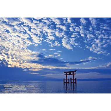 【メーカー取寄】300-438 300Pジグソー 日本の都市82 滋賀県高島市「琵琶湖 白髭神社 湖中大鳥居」