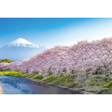 【メーカー取寄】300-442 300Pジグソー 日本の都市86 静岡県富士市「龍巌淵の桜」