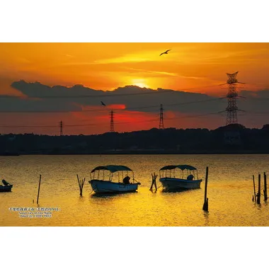 【メーカー取寄】300-452 300Pジグソー 日本の都市96 千葉県我孫子市「手賀沼の夕日」