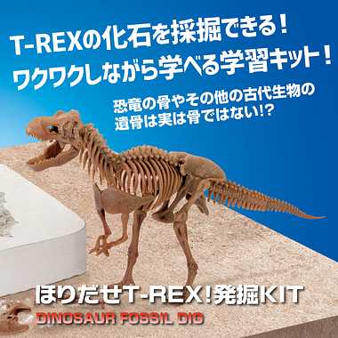 TK018 Discovery　ほりだせT-REX！発掘KIT