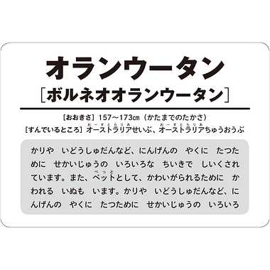 【メーカー取寄】479026 モンテッソーリ式カード　どうぶつ