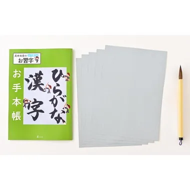 479147 武田双雲の水で書けるお習字　ひらがな・漢字