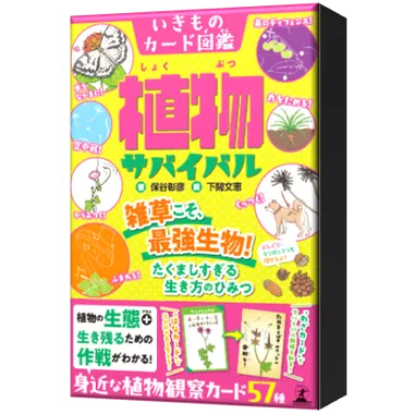 メーカー取寄】479284 くみあわせていろんな表情をつくろう！かお