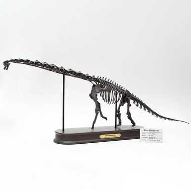 【メーカー取寄】70103 FDS603/BR ブラキオサウルス　スケルトン