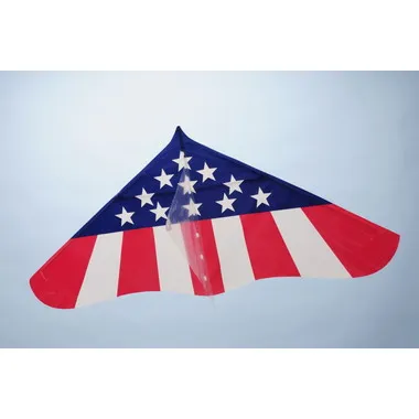 ゲイラカイトアメリカン
