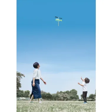 スカイヘリ