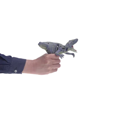TRIGGER THE RAPTOR トリガー・ザ・ラプトル
