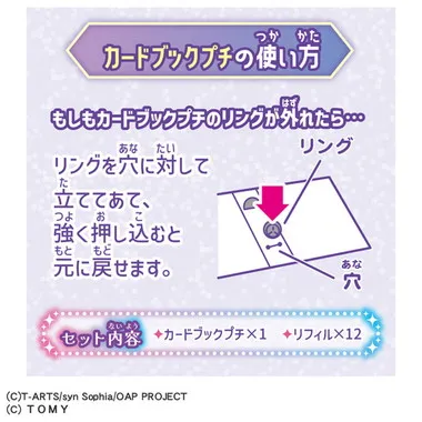 おねがいアイプリ カードブックプチ サンリオキャラクターズモデル