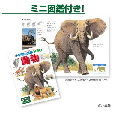 アニア　小学館の図鑑ＮＥＯ　動物　ミニ図鑑付き