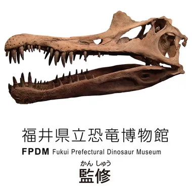 アニア スピノサウルス（骨格標本Ver.） | 玩具卸売 カワダオンライン