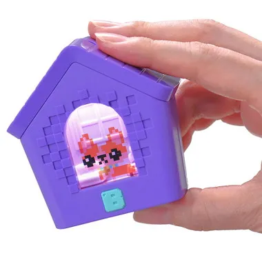 わんだーはうす