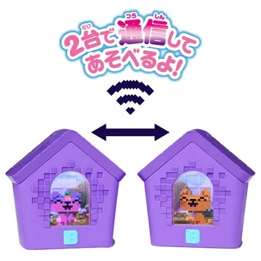 わんだーはうす