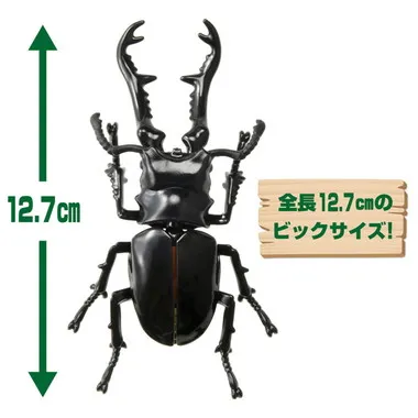 アニア　ＡＬ－３８　ギラファノコギリクワガタ