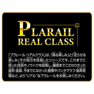 プラレール　リアルクラス　小田急ロマンスカー３１００形ＮＳＥ