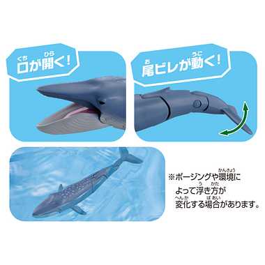 アニア　ＡＬ－２３　シロナガスクジラ（水に浮くVer.）
