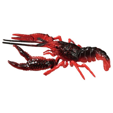 アニア　ＡＬ－３１　アメリカザリガニ