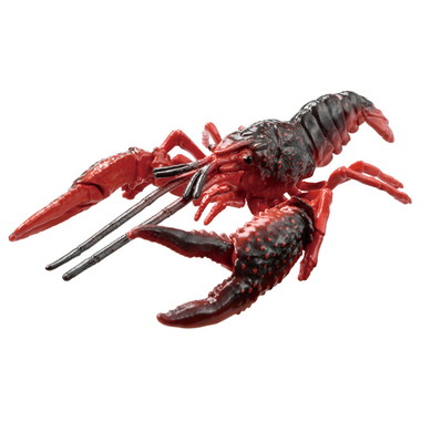 アニア　ＡＬ－３１　アメリカザリガニ