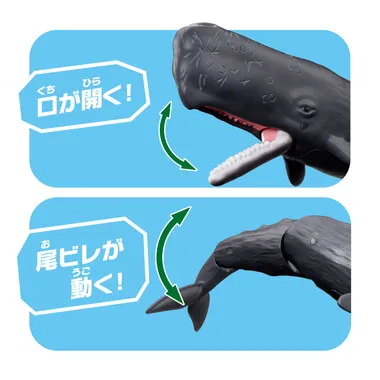 アニア　ＡＬ－３４　マッコウクジラ（水に浮くVer.）