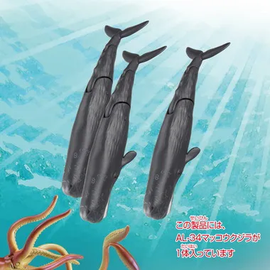 アニア　ＡＬ－３４　マッコウクジラ（水に浮くVer.）