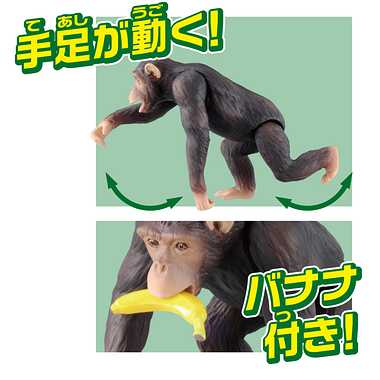 アニア　ＡＳ－１４　チンパンジー