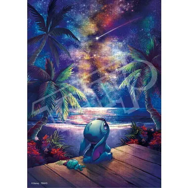 D-500-673 星空に想う