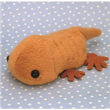 【メーカー取寄】10590 Little Beans サンショウウオ