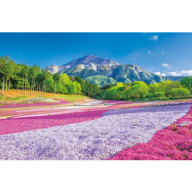 【メーカー取寄】1000-883 春のじゅうたん羊山公園